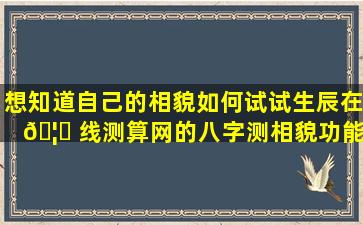 想知道自己的相貌如何试试生辰在 🦍 线测算网的八字测相貌功能！
